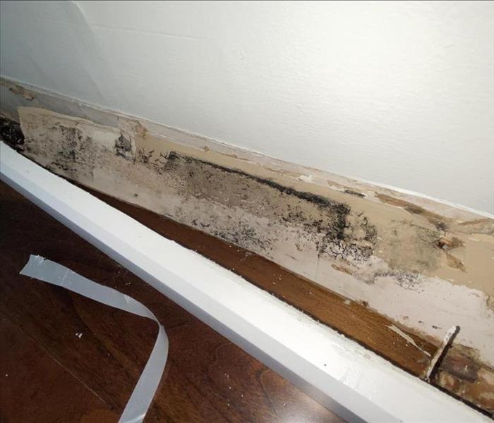baseboard removal showing mold growth in water damaged area